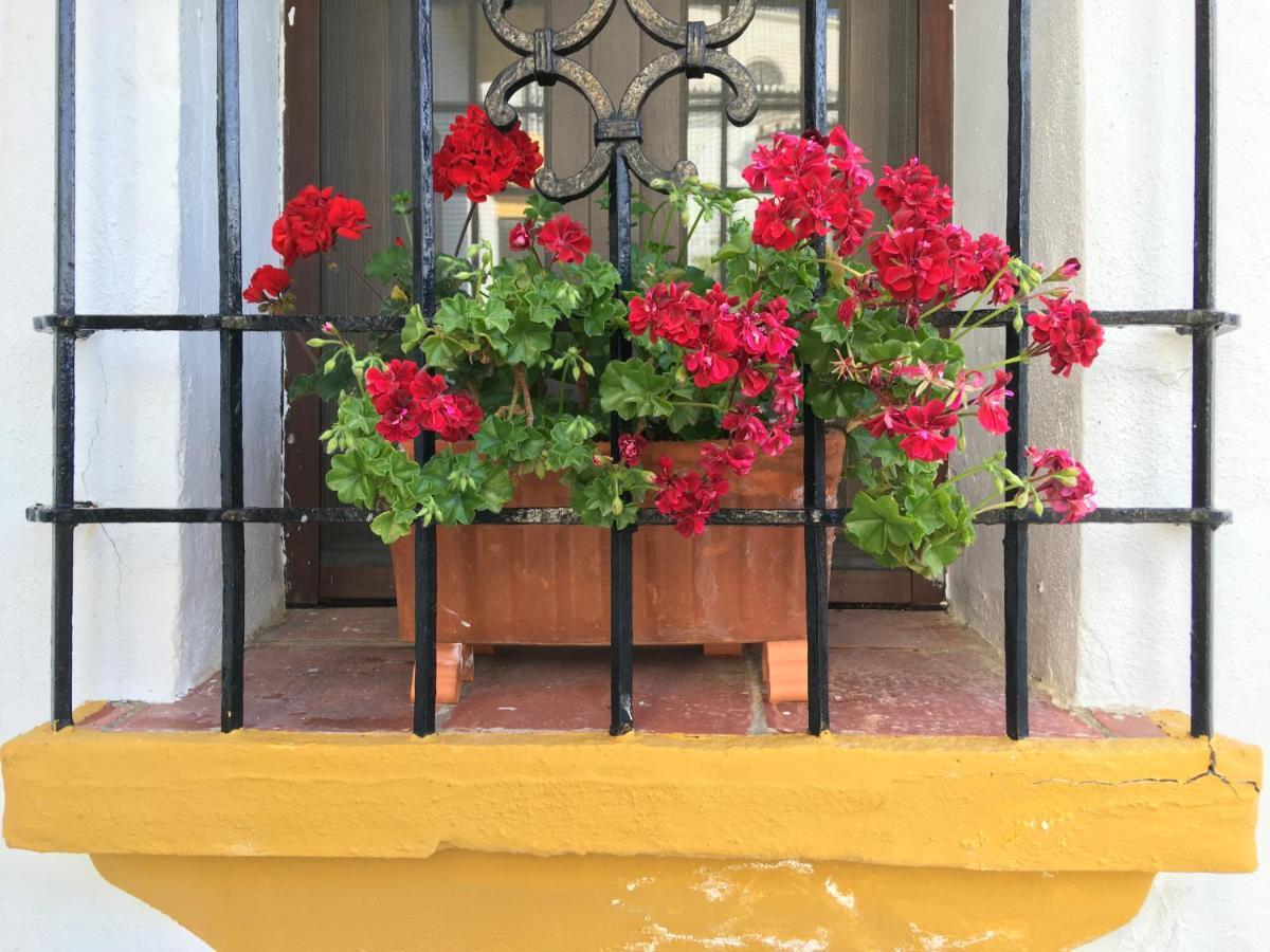 La Escondida Ronda, B&B Exterior foto